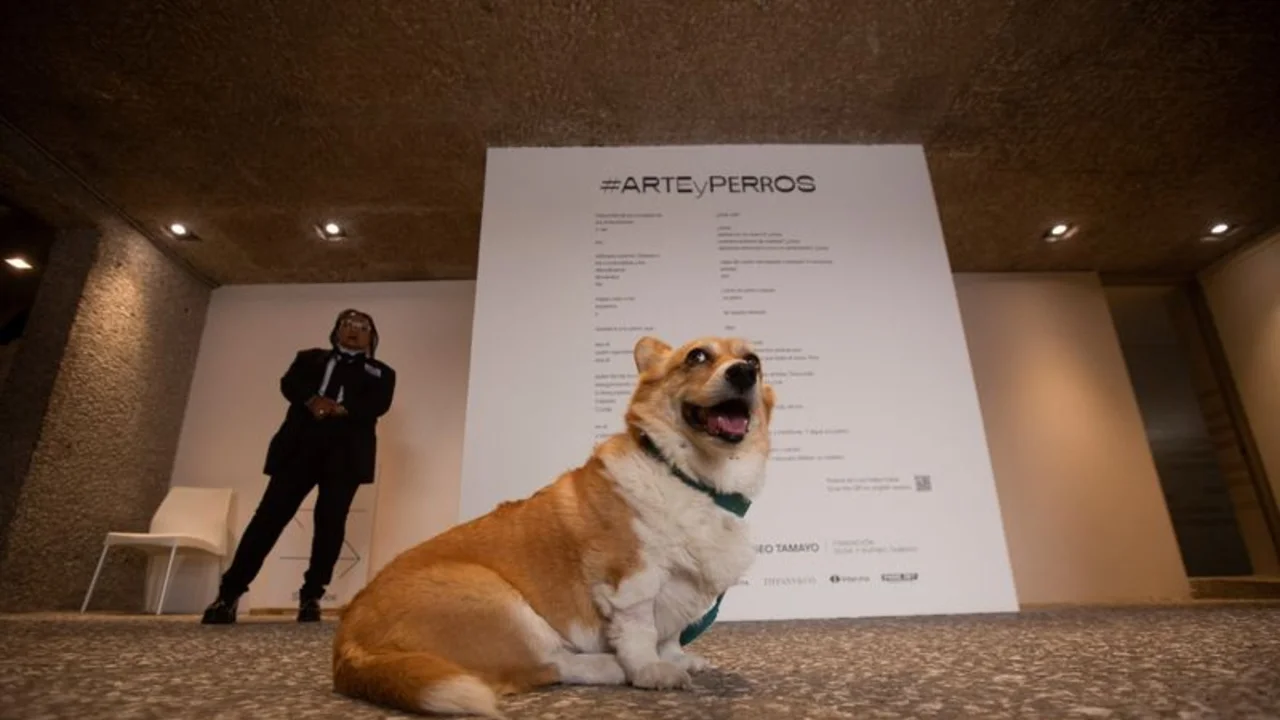 En México, el arte moderno también es para perros en una emotiva exposición
