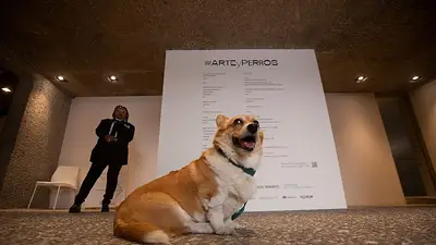 En México, el arte moderno también es para perros en una emotiva exposición En México, el arte moderno también es para perros en una emotiva exposición