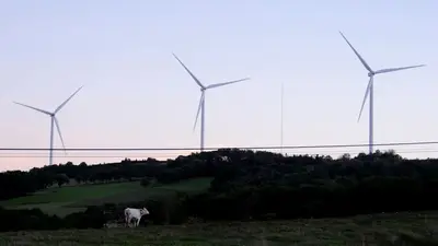 Empresas europeas piden a la UE que redoble su apuesta por las tecnologías limpias Empresas europeas piden a la UE que redoble su apuesta por las tecnologías limpias