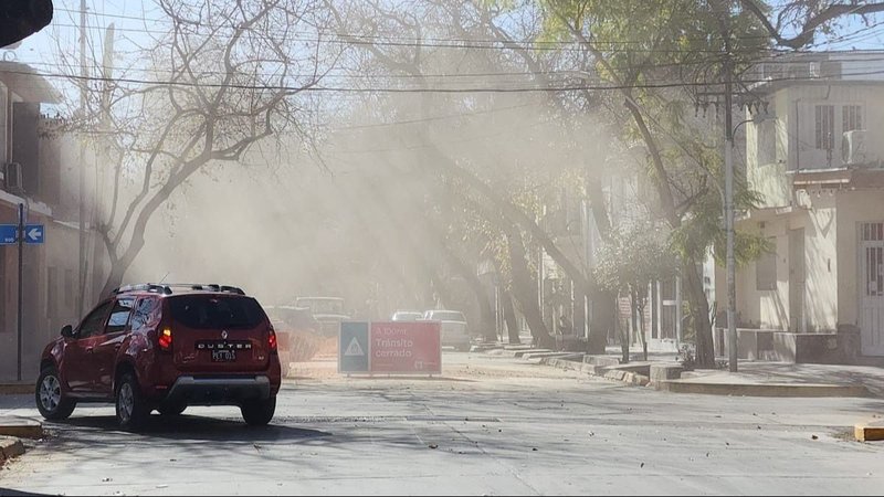 Viento Zonda en Mendoza: voladura de techo en una escuela, árboles caídas y corte de energía