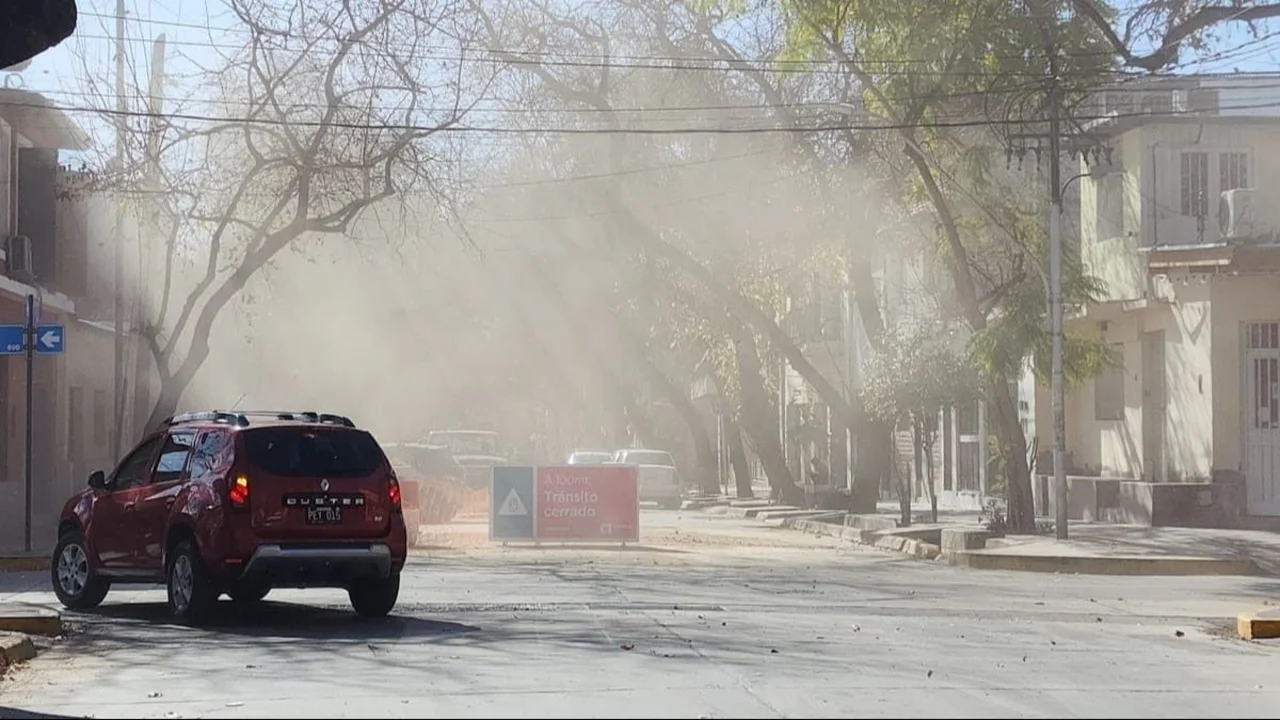 Viento Zonda en Mendoza: voladura de techo en una escuela, árboles caídas y corte de energía
