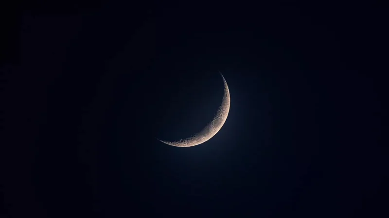 Luna nueva noviembre
