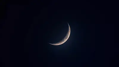 Luna nueva noviembre Luna nueva noviembre