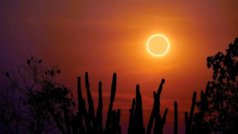 Eclipse solar