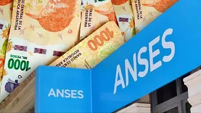 ANSES ANSES