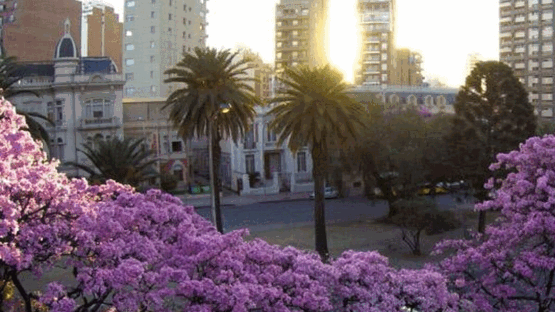 ¿50 grados en Argentina en el verano 2025? Qué dicen los expertos
