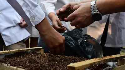 Capacitación en huerta familiar: la iniciativa formoseña que recorre las escuelas para poner en valor la producción de alimentos Capacitación en huerta familiar: la iniciativa formoseña que recorre las escuelas para poner en valor la producción de alimentos