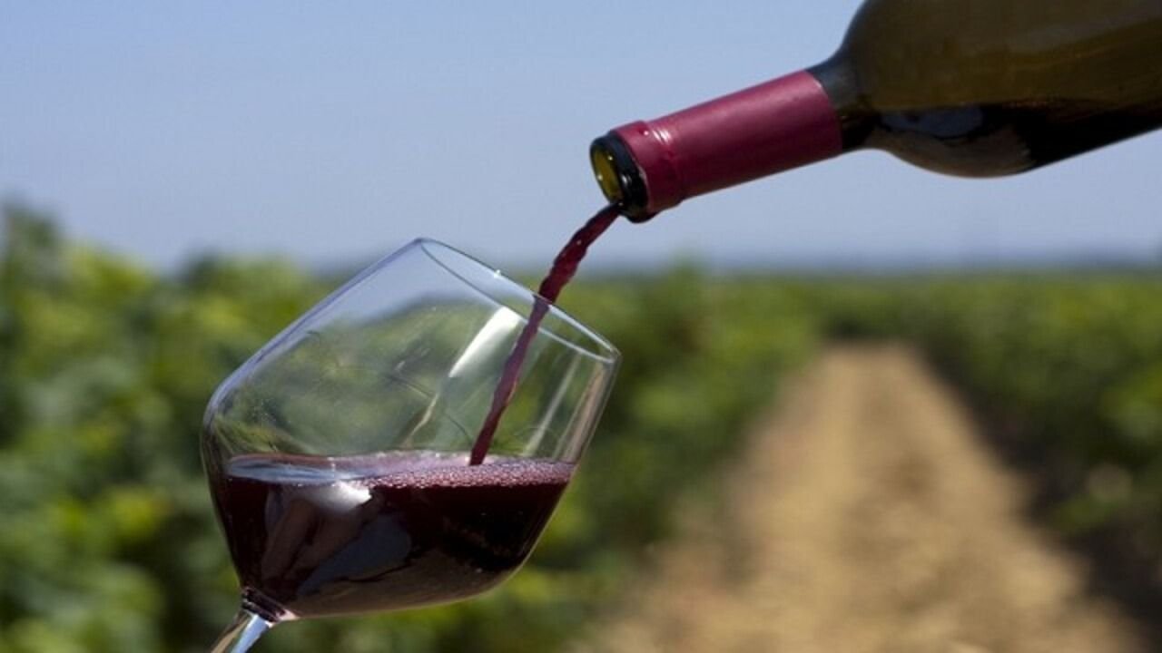 Copa y botella de vino