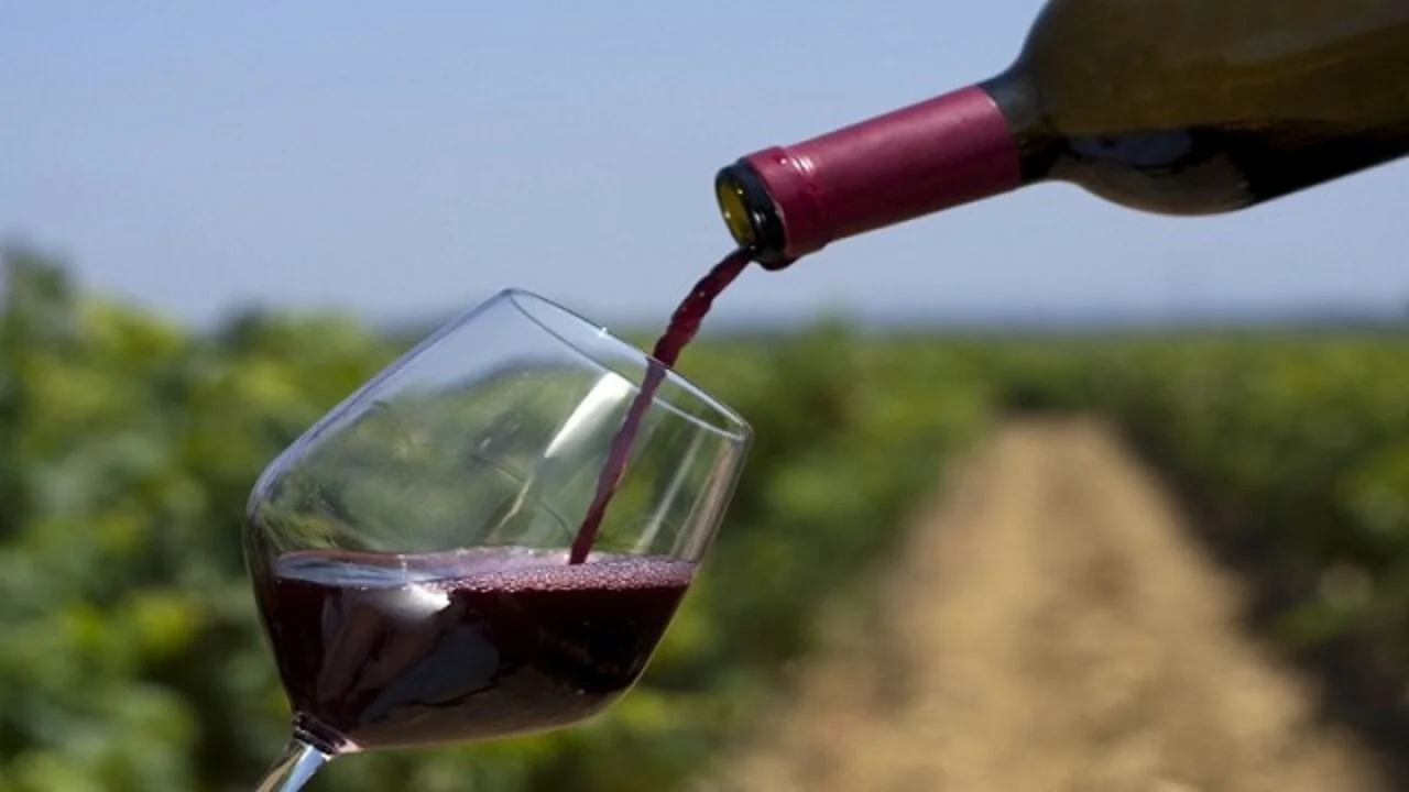 Copa y botella de vino