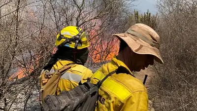 Incendios forestales: se conocieron nuevos detalles sobre la situación que alarma al norte argentino Incendios forestales: se conocieron nuevos detalles sobre la situación que alarma al norte argentino