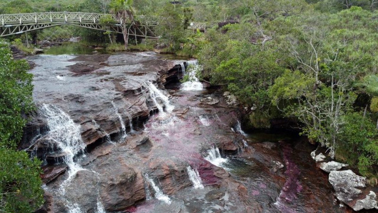 Colombia, presidente de la COP16, presiona para que se unifiquen los compromisos sobre clima y biodiversidad