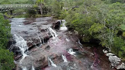 Colombia, presidente de la COP16, presiona para que se unifiquen los compromisos sobre clima y biodiversidad Colombia, presidente de la COP16, presiona para que se unifiquen los compromisos sobre clima y biodiversidad