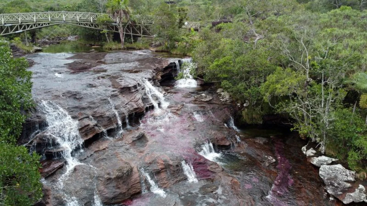 Colombia, presidente de la COP16, presiona para que se unifiquen los compromisos sobre clima y biodiversidad