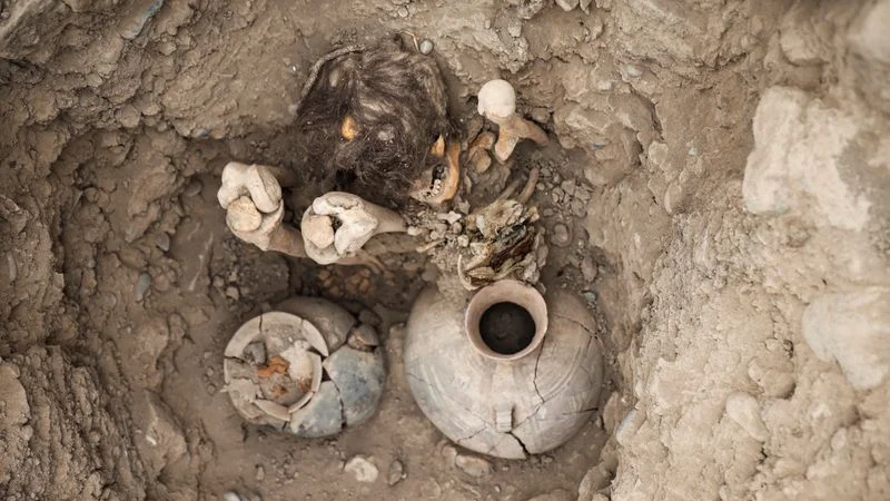 Hallan restos de decenas de niños posiblemente sacrificados hace 600 años en norte de Perú