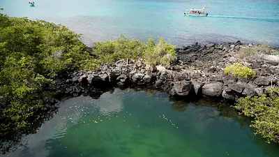 Escrutinio a acuerdo por naturaleza de Ecuador no ha ralentizado canjes de deuda, dice el BID Escrutinio a acuerdo por naturaleza de Ecuador no ha ralentizado canjes de deuda, dice el BID