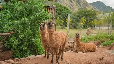 Turismo rural: cómo es la novedosa propuesta que ofrece La Rioja para disfrutar durante el fin de semana largo Turismo rural: cómo es la novedosa propuesta que ofrece La Rioja para disfrutar durante el fin de semana largo
