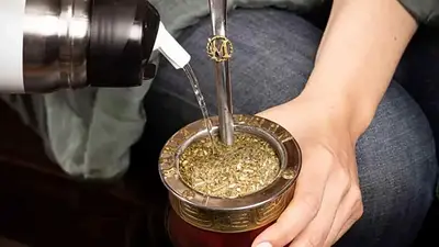 Mate Mate