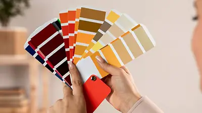 Por qué hay colores que son llamativos para las personas menos inteligentes. Por qué hay colores que son llamativos para las personas menos inteligentes.