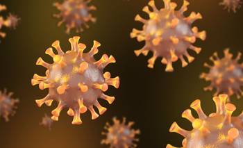 Chile reportó su primer caso de gripe K virus H3N2 y crece la preocupación en Argentina | Influenza