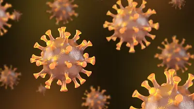 Qué es la Influenza B, el virus que provocó la muerte de una adolescente tras su viaje de egresados Qué es la Influenza B, el virus que provocó la muerte de una adolescente tras su viaje de egresados