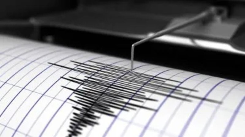 Gráfico de sismo