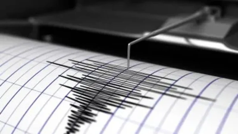 Gráfico de sismo