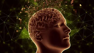 Anímate a viajar al interior del cerebro Anímate a viajar al interior del cerebro