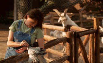 Bioterios, es la nueva profesión que eligen los amantes de los animales  | Animales