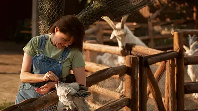 Qué estudiar si me gustan los animales. Qué estudiar si me gustan los animales.