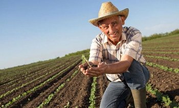 Plan Nutrir: el programa formoseño que potencia a los productores | Alimentos