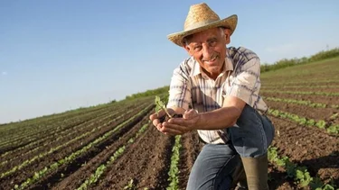 Plan Nutrir: las claves del programa formoseño que potencia y revaloriza a los productores locales