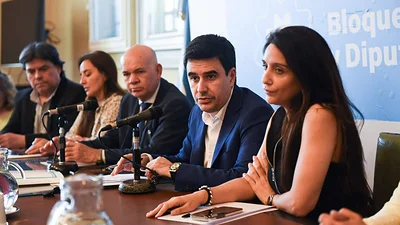 Cuestión Malvinas: Unión por la Patria presentó un pedido de juicio político contra Diana Mondino Cuestión Malvinas: Unión por la Patria presentó un pedido de juicio político contra Diana Mondino