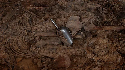 Las exhumaciones de víctimas del franquismo de una fosa común pierden financiación por una polémica ley Las exhumaciones de víctimas del franquismo de una fosa común pierden financiación por una polémica ley