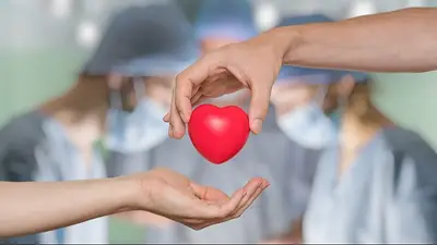 Formosa se une al INCUCAI para impulsar un programa que fortalecerá el sistema de donación de órganos: qué propone el proyecto Formosa se une al INCUCAI para impulsar un programa que fortalecerá el sistema de donación de órganos: qué propone el proyecto