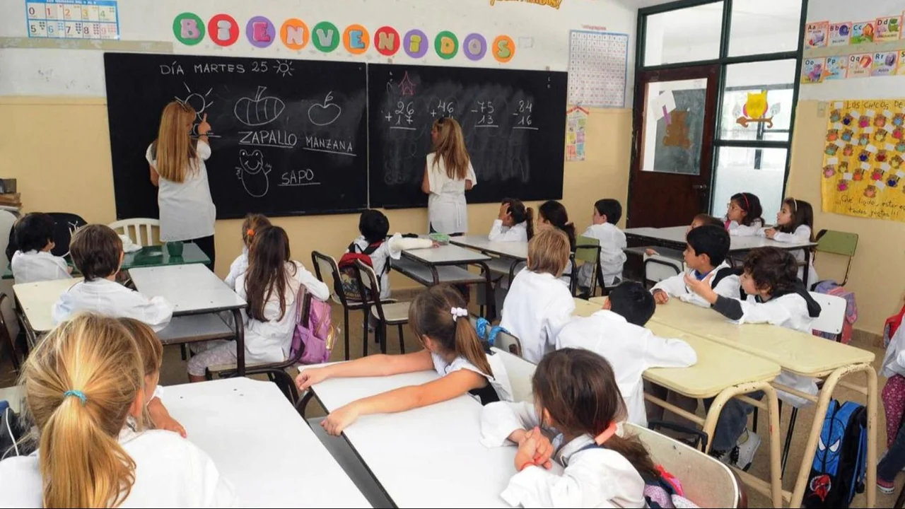 Docentes
