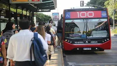 Colectivos. Colectivos.