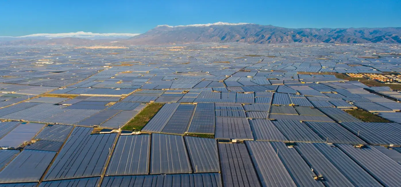 Invernaderos de El Ejido