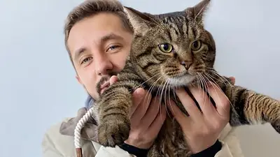 Hombre sosteniendo un gato. Hombre sosteniendo un gato.