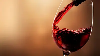 vino vino