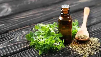 Cómo se hace aceite de orégano y para qué sirve: la receta fácil y rápida Cómo se hace aceite de orégano y para qué sirve: la receta fácil y rápida