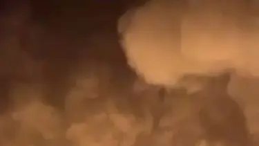 Varios drones ucranianos atacan plantas de etanol en Rusia, según canales de Telegram
