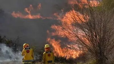 La Rioja presentó un amparo luego de que Nación eliminara el Fondo Fiduciario para la Protección de Bosques Nativos La Rioja presentó un amparo luego de que Nación eliminara el Fondo Fiduciario para la Protección de Bosques Nativos