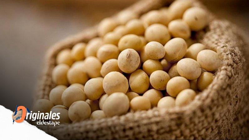 Por la falta de lluvias, cayó la producción de soja en la región núcleo