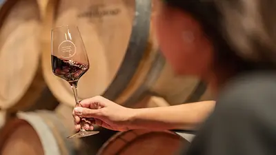 Bodega Dante Robino. Bodega Dante Robino.