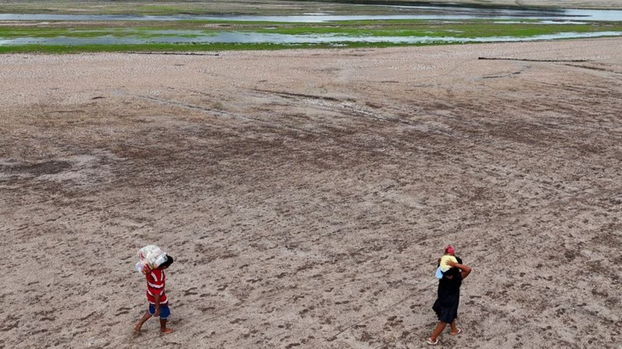 Expertos advierten que el cambio climático causa mayor mortalidad y más inseguridad alimentaria