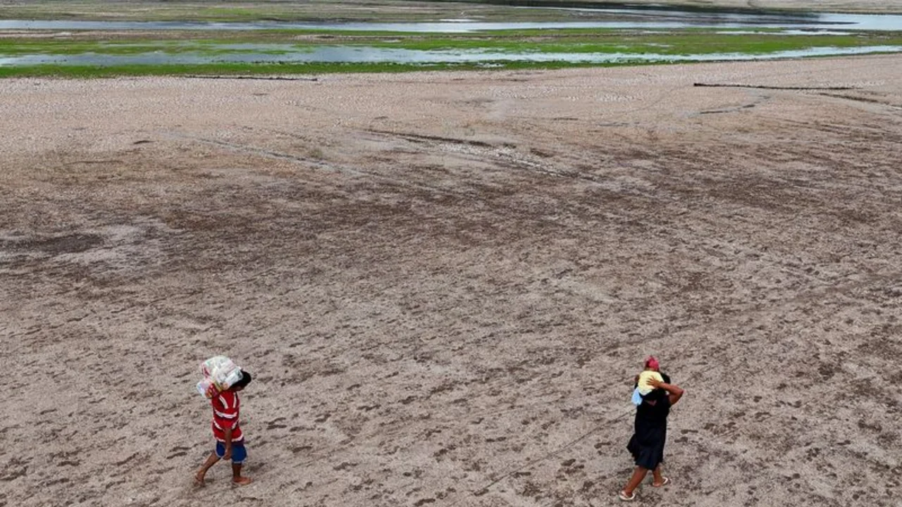 Expertos advierten que el cambio climático causa mayor mortalidad y más inseguridad alimentaria