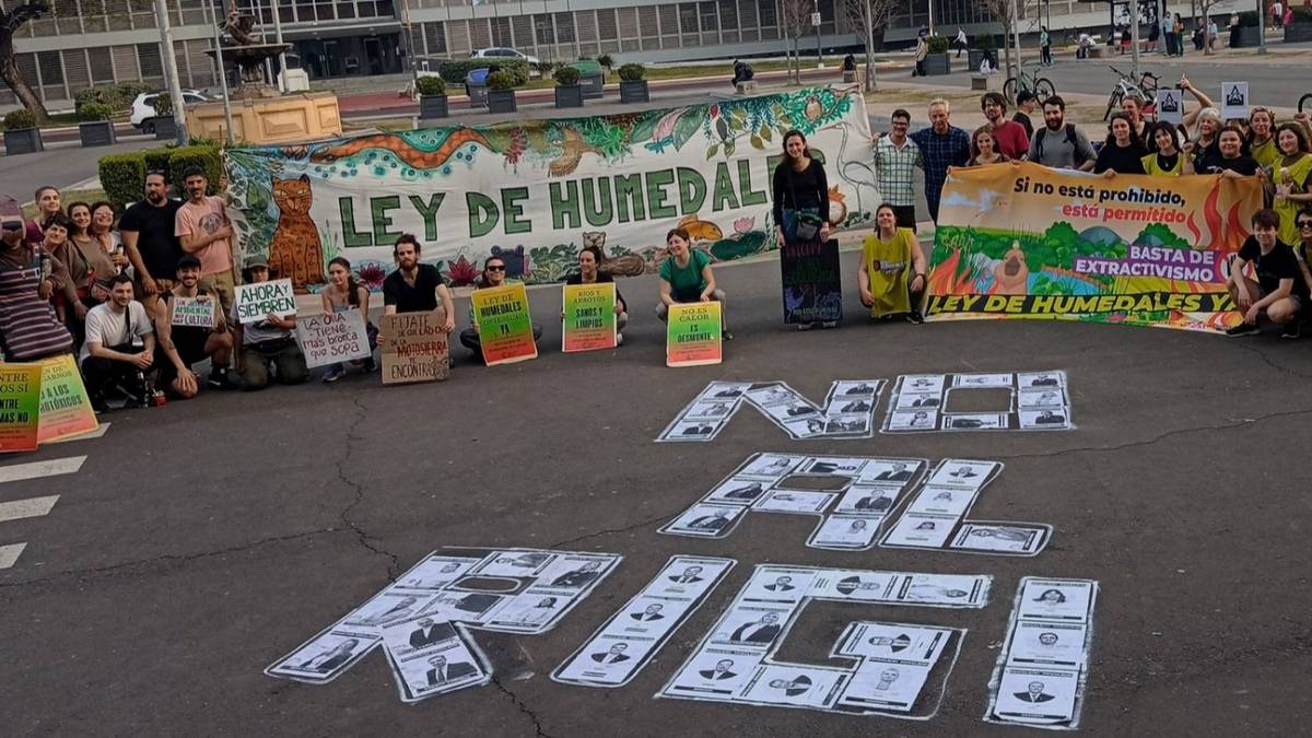 Del CELS a Greenpeace: el informe que destruye al super RIGI de Milei