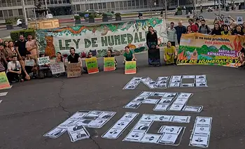 Del CELS a Greenpeace: el informe que destruye al super RIGI de Milei  | Congreso