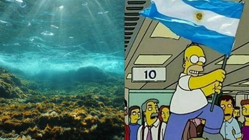 Argentina encontró el tesoro más grande de su historia en el fondo del mar argentino