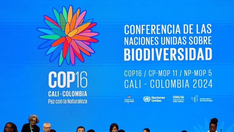 Es improbable que conversaciones sobre naturaleza de COP16 lleguen a acuerdo sobre financiación de la conservación